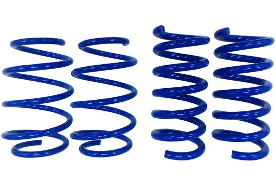 Steeda 2017-20 Fusion/MKZ V6 Lowering Springs