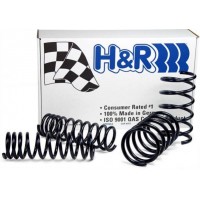 H&R Lowering Springs for 2013+ Fusion/MKZ AWD (Fits Hybrid & Sport)