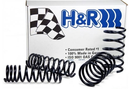 H&R Lowering Springs 2013+ Fusion/MKZ FWD (51677) by CD3Performance.com