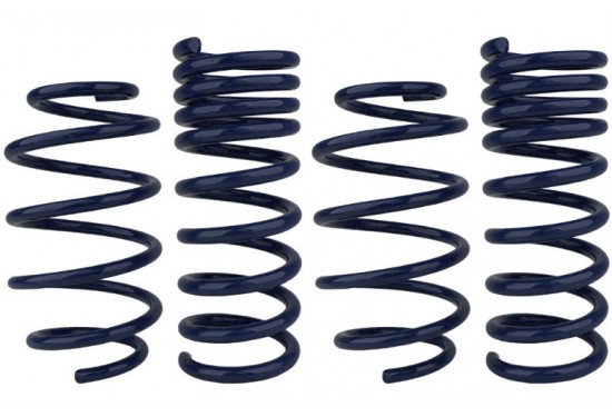 Steeda 2013+ Fusion Lowering Springs (will also fit MKZ) (555-8306) by CD3Performance.com