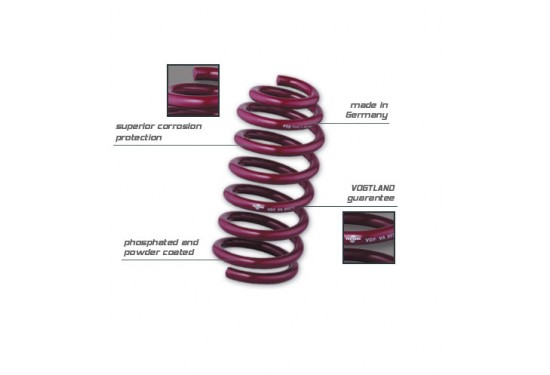 Vogtland 2013+ Fusion/MKZ 4cyl 30mm lowering springs (953134) by CD3Performance.com