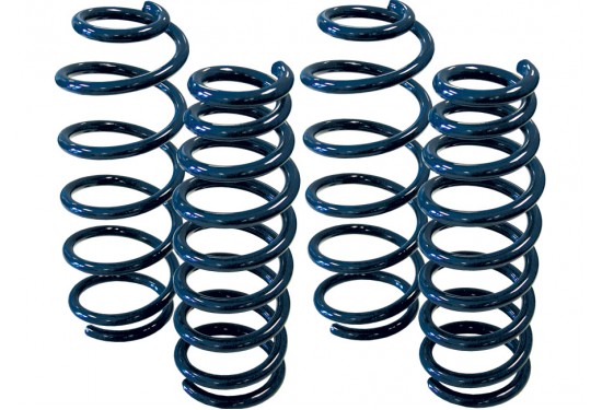 Steeda 4cyl Lowering Springs